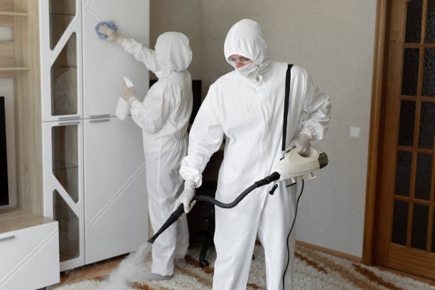 Best Mold Testing  in Barnesville, MN